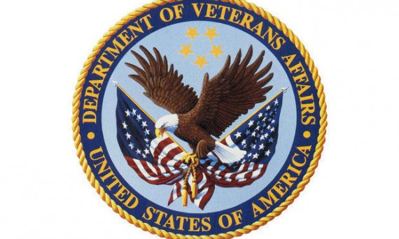 Department of Veterans Affairs 2015 Programs